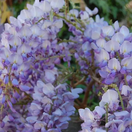 Appartement Casa Didun -apart Bartume'