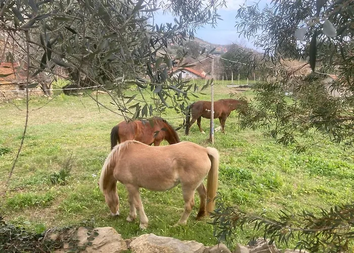 Casa Didun -apart Bartume' 아파트 돌체도