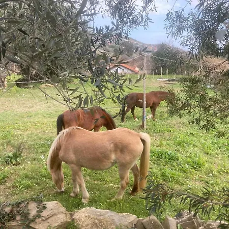 Casa Didun -apart Bartume' Apartman Dolcedo