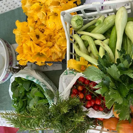 Casa Didun -apart Bartume' Apartman *